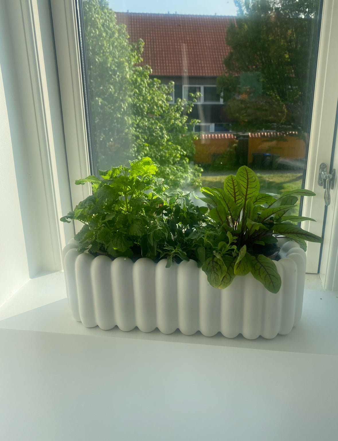 Oval krukke i mosgrøn og hvid fra DBKD