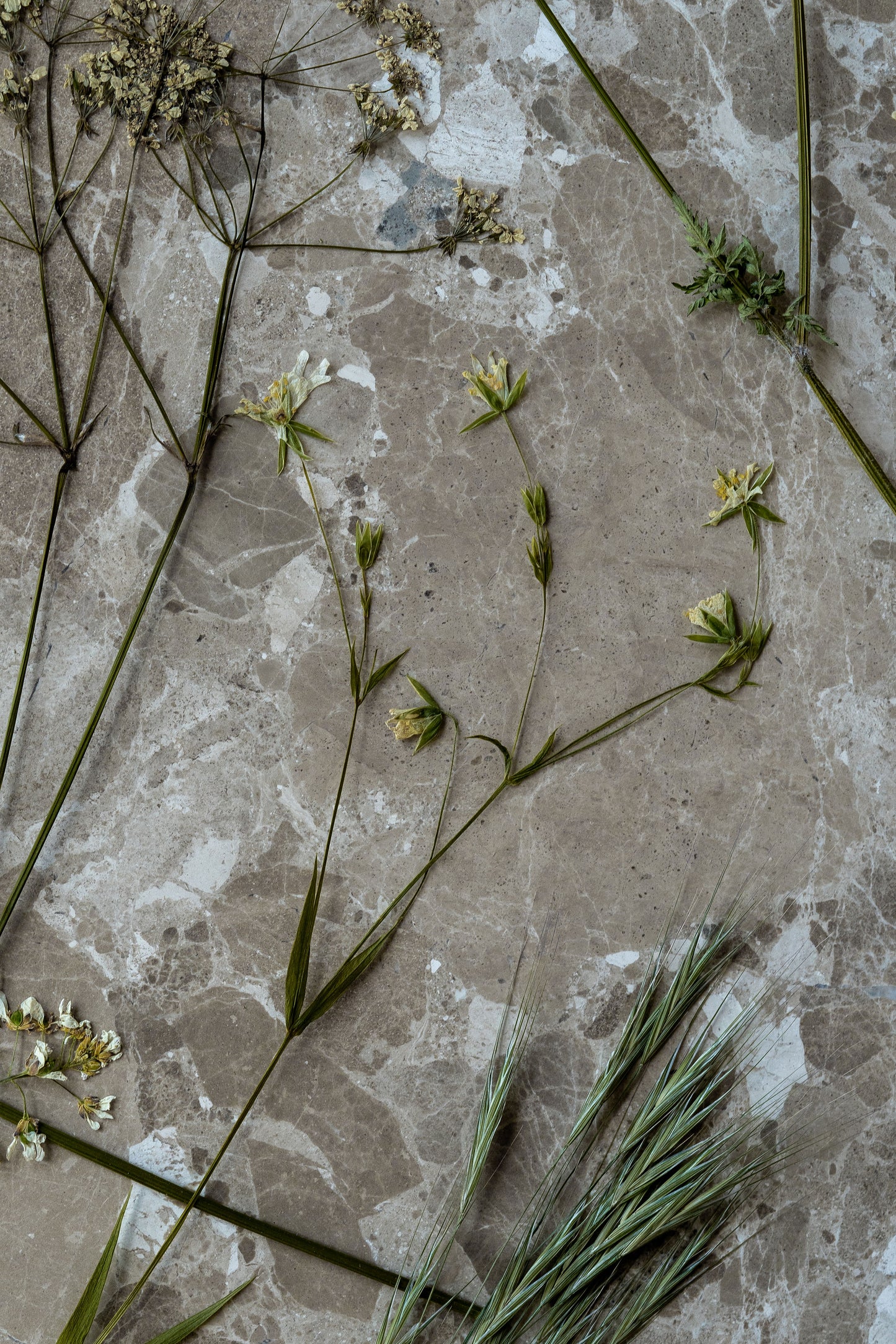Marmor sofabord Beige toner Wabi Sabi Nordic