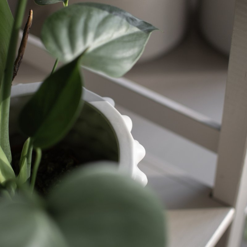 Cloudy greige mat grå potte fra DBKD